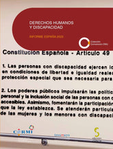 DERECHOS HUMANOS Y DISCAPACIDAD INFORME ESPAÑA 2023 - 9788410167124